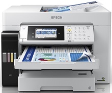 Driver Epson EcoTank L15160